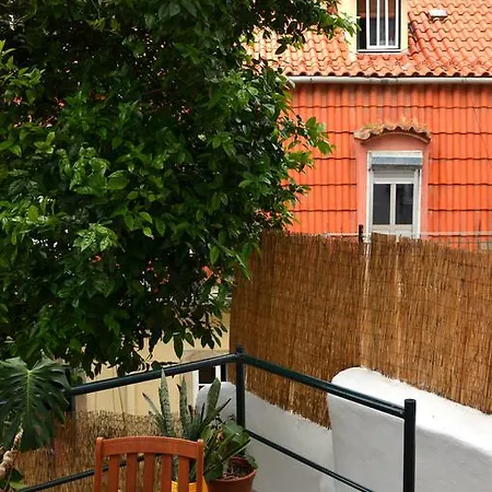 Garden And City Views In Graca * Lisbon